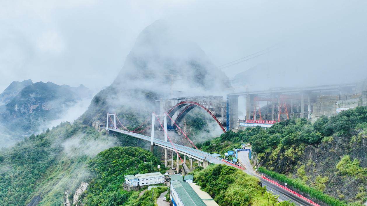 下层动态 - yl23455永利