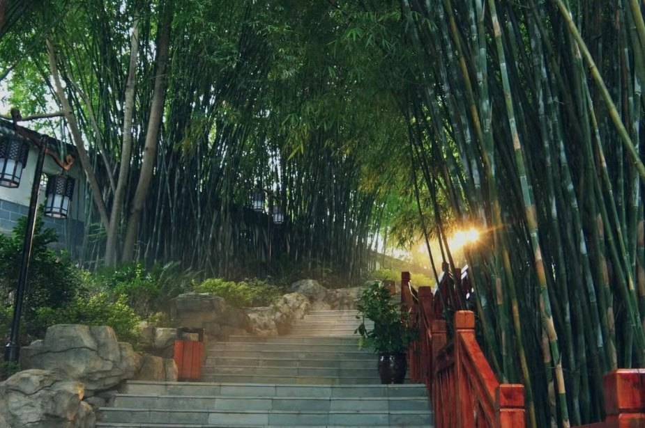 旅游开发 - yl23455永利