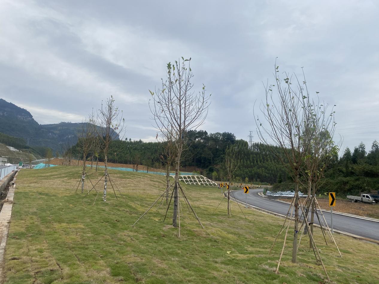 下层动态 - yl23455永利