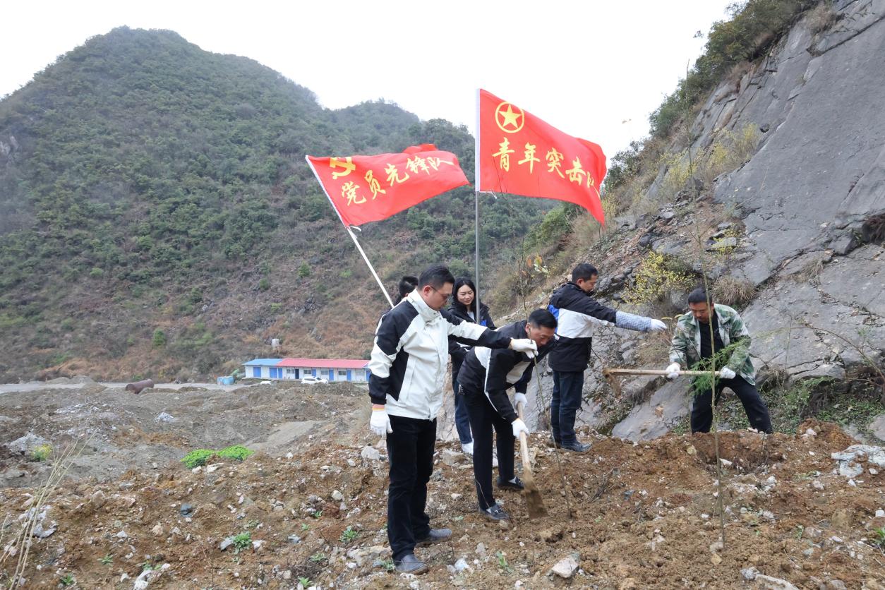 下层动态 - yl23455永利